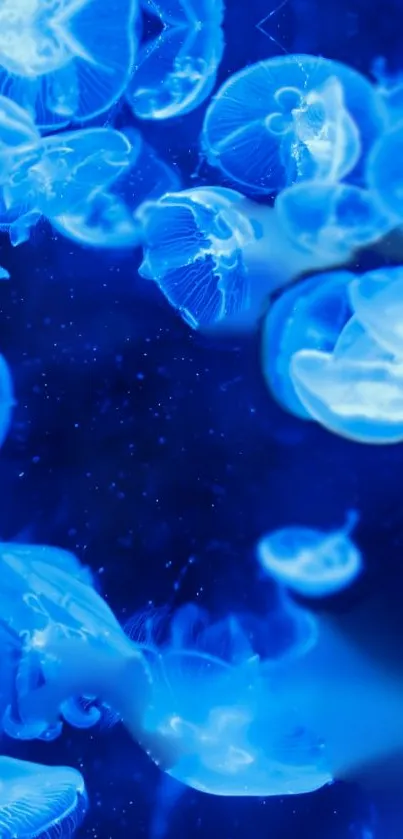 Mystical blue jellyfish floating underwater, creating a serene scene.