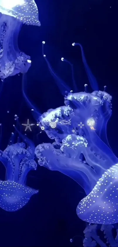 Luminous blue jellyfish swim gracefully in the deep ocean.