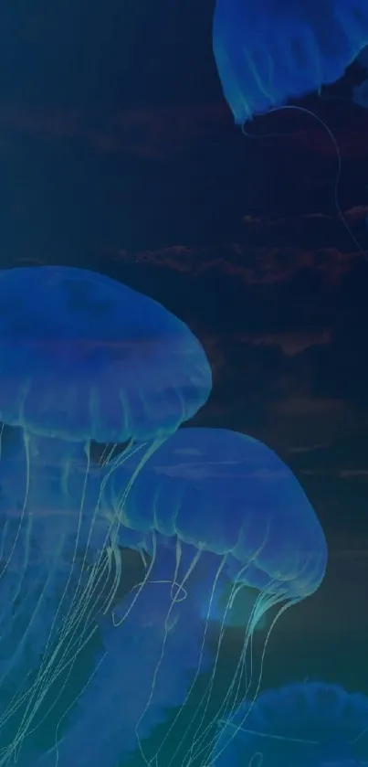 Dark blue wallpaper featuring luminous jellyfish floating in an underwater scene.