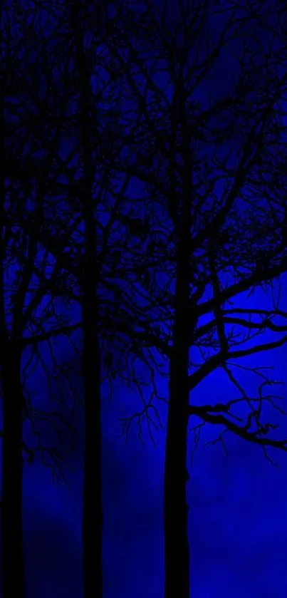 Mystical forest silhouette under a blue moonlit night sky.