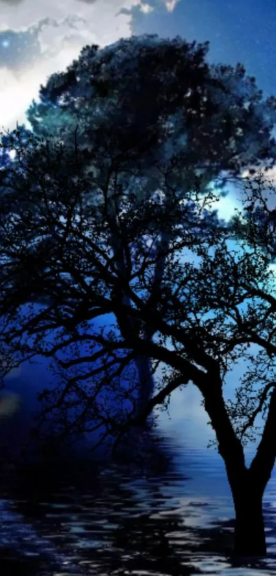 Mystical blue nightscape with trees and reflections.