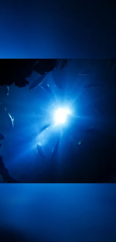 Mystical blue ocean light with marine life silhouettes.