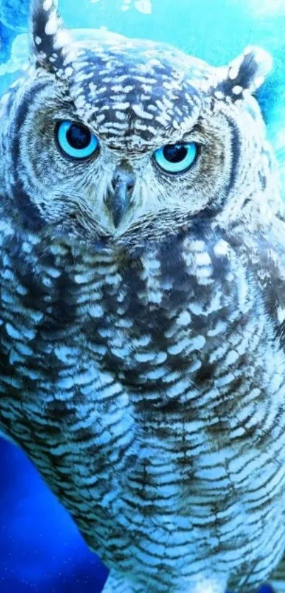 Blue owl with mystical aura mobile wallpaper