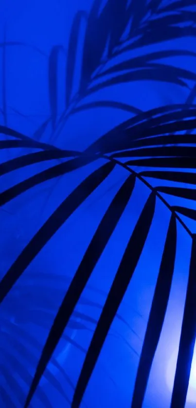Mystical blue wallpaper with palm leaves silhouette.