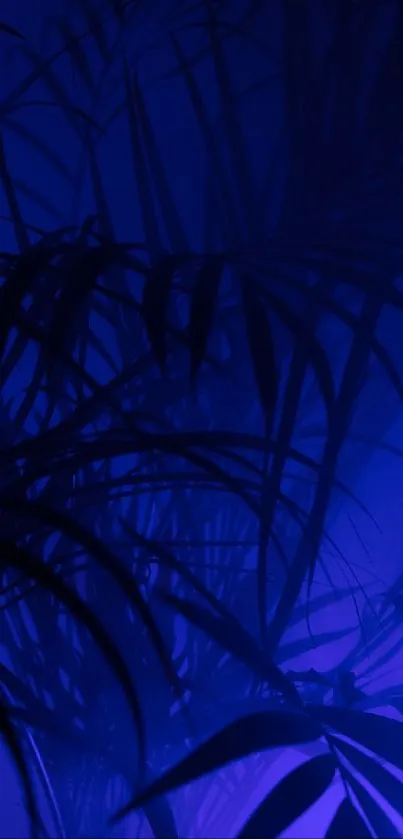 Silhouetted palm leaves against a mystical blue background.