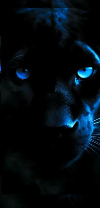 Close-up of a blue-eyed panther in shadows, exuding mystery.