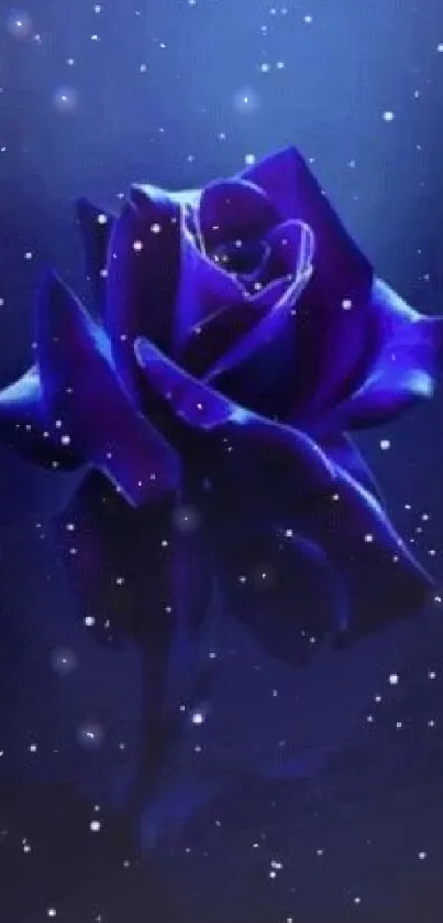 Mystical blue rose against a starry night sky background.