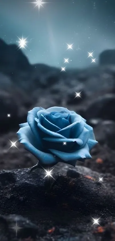 Mystical blue rose on dark rocky ground under a starry sky.