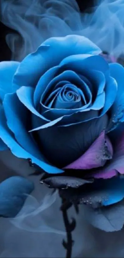 Mystical blue rose with smoky background on mobile wallpaper.