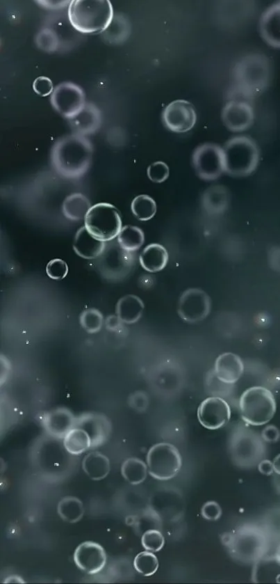 Dark gray background with ethereal bubbles floating softly.