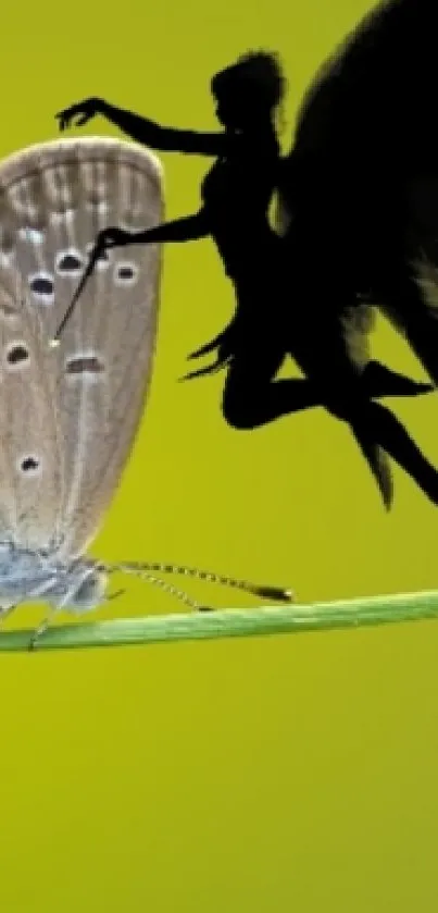 Fairy silhouette next to a butterfly on a green backdrop.