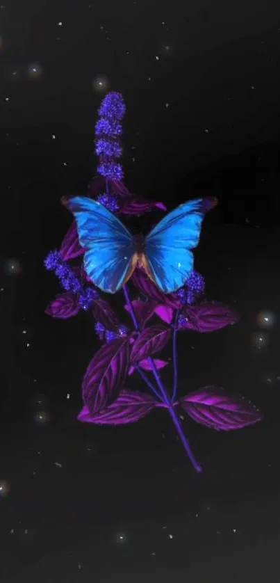 Mystical blue butterfly on purple flower with starry night background.