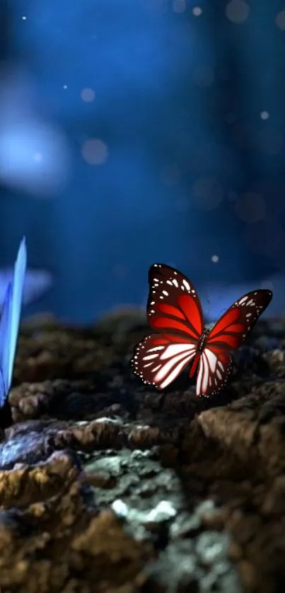 Red butterfly on forest floor with starry night background.