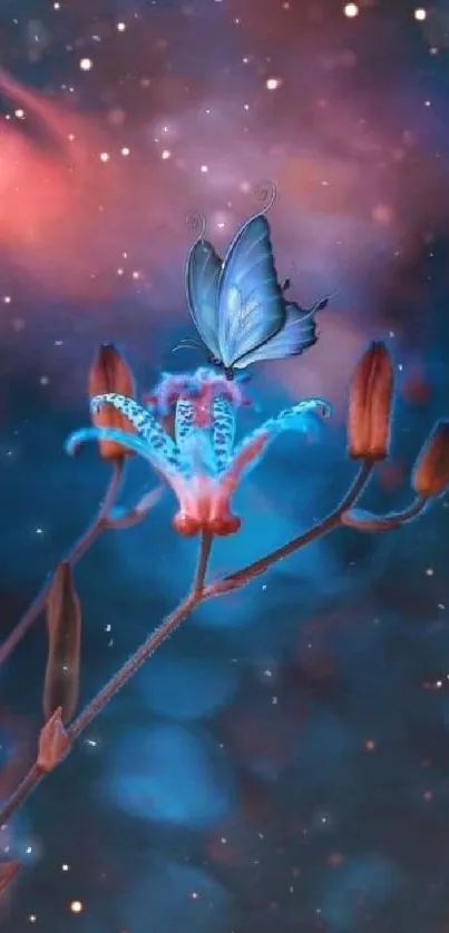 Mystical butterfly on flower with deep blue background.