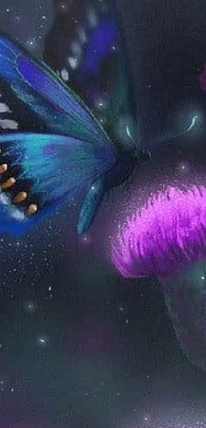 Mystical blue butterfly on purple flowers in a dark night setting.