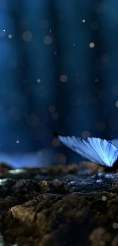 Mystical blue butterfly rests on a textured surface with a blurred blue background.