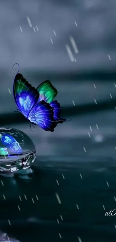 Vibrant butterfly and clear raindrop on a teal background.