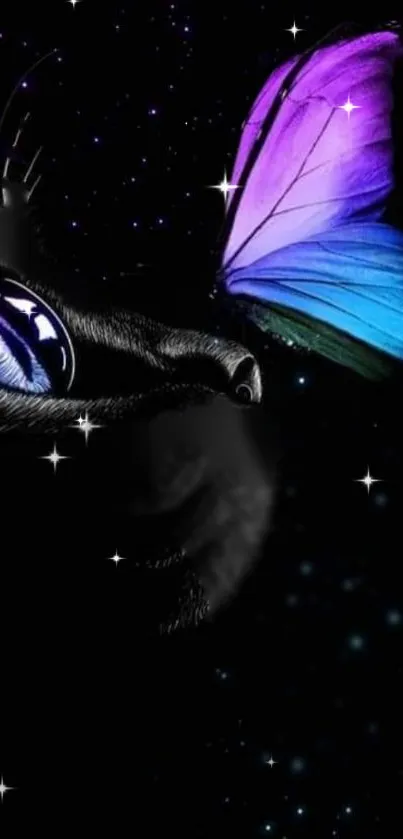 Mystical black cat with vibrant butterfly in space artwork.