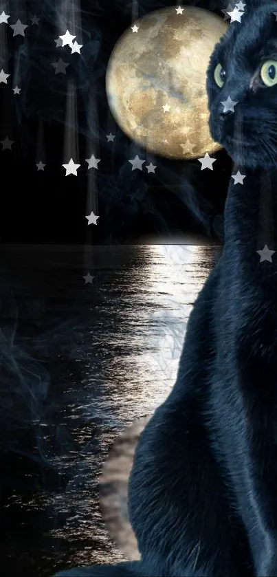 Black cat by a moonlit lake with stars reflecting in water.