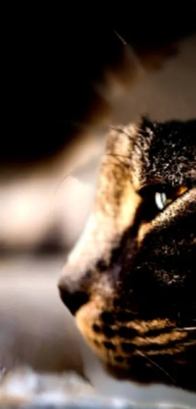 Close-up of a mystical cat with dark tones and piercing green eyes.