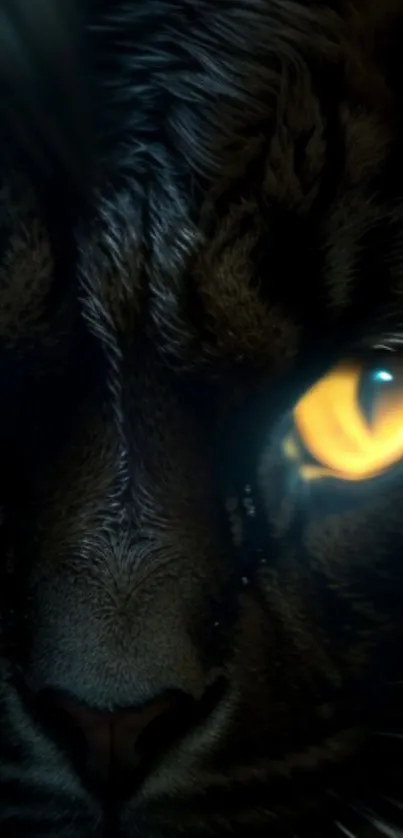 Close-up of a cat's eye with striking yellow and black features.