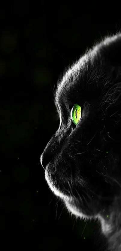 Mysterious black cat with glowing green eyes in the dark.