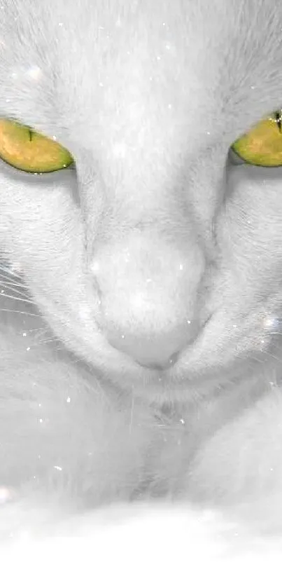 White cat with striking green eyes on a monochrome background.