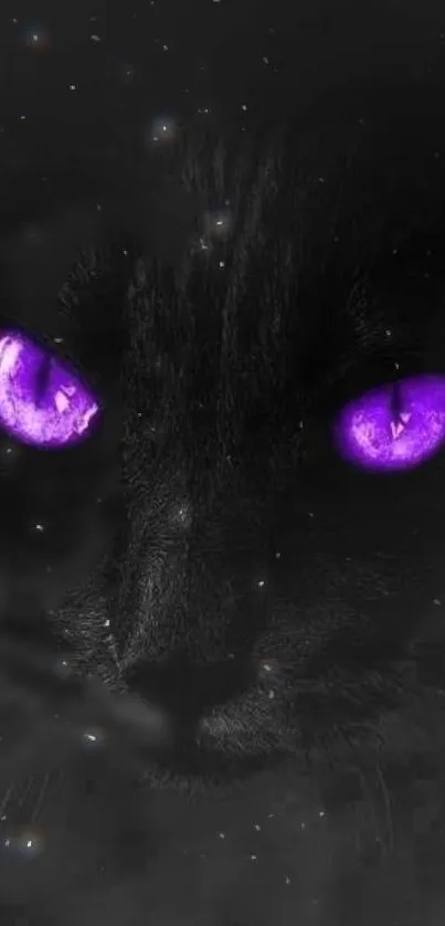 Mystical black cat with glowing purple eyes on a starry background wallpaper.