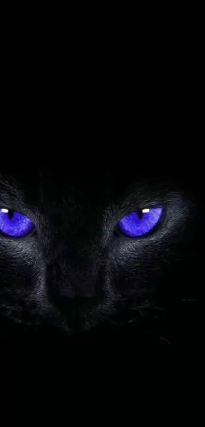 A mystical black cat with striking blue eyes on a dark background.