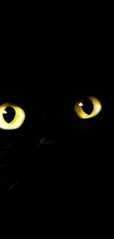 Black cat with glowing yellow eyes in dark wallpaper.