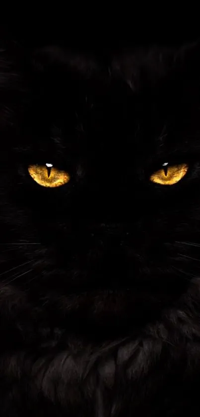 Wallpaper with glowing cat eyes in darkness.