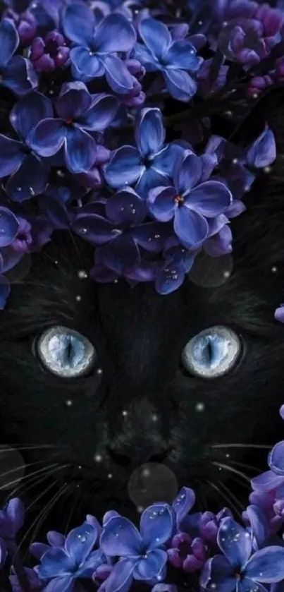 Black cat with blue eyes surrounded by vibrant purple flowers.