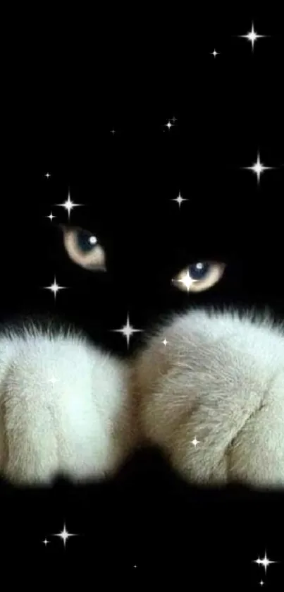 Mystical cat eyes and paws against a dark background, creating an intriguing wallpaper.