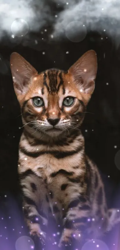 Mystical cat in a magical setting with purple hues.