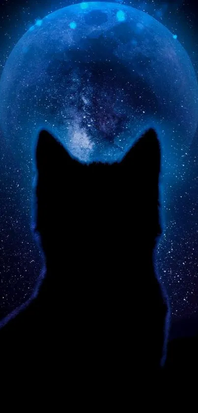 Cat silhouette against a cosmic moonlit night sky with stars.