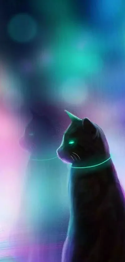 Mystical black cat with neon glow on colorful blurred background.