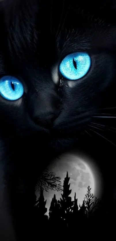 Black cat with blue eyes and moonlit background.