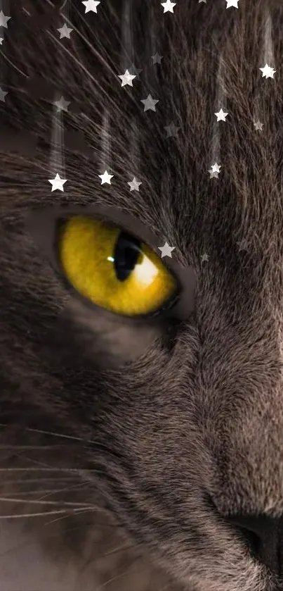 Close-up of a mystical cat with glowing yellow eyes and starry background.