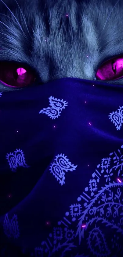 Mystical cat with pink eyes and bandana on dark blue background.