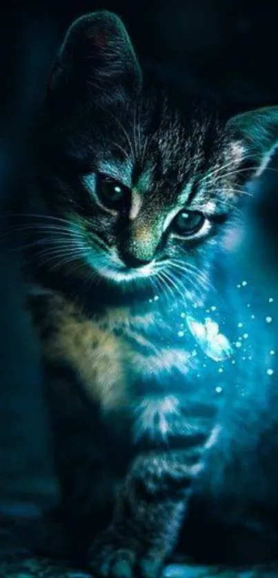 A mystical kitten glowing with a blue aura in the dark wallpaper.