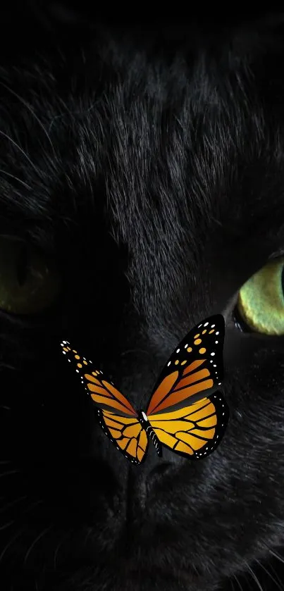 Black cat with green eyes and butterfly on its nose.