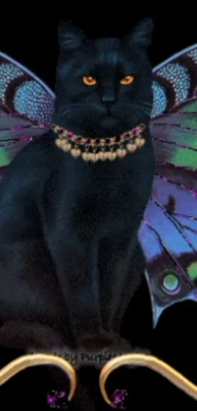 Black cat with butterfly wings and jeweled necklace on a dark background.