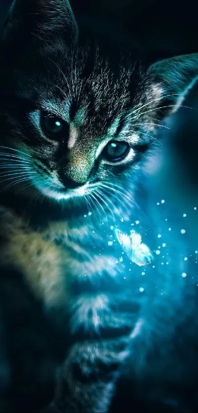 Mystical cat with glowing blue aura on dark background.