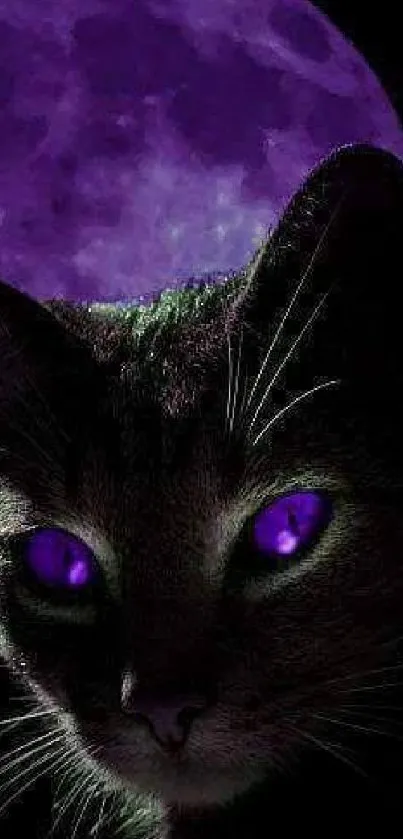 Mystical purple-eyed cat with moon background.