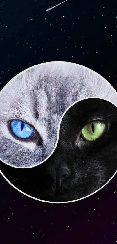 Mystical cat yin yang with cosmic background.