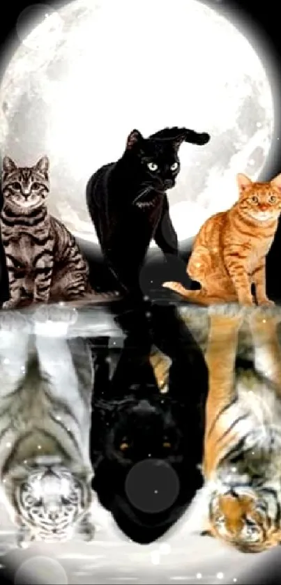 Cats sit by moonlit water, reflecting fierce animals.