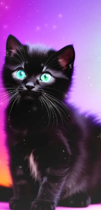 Black cats with green eyes on a vibrant gradient backdrop.