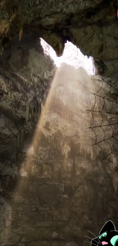 Cave interior with light beam and a curious black cat.