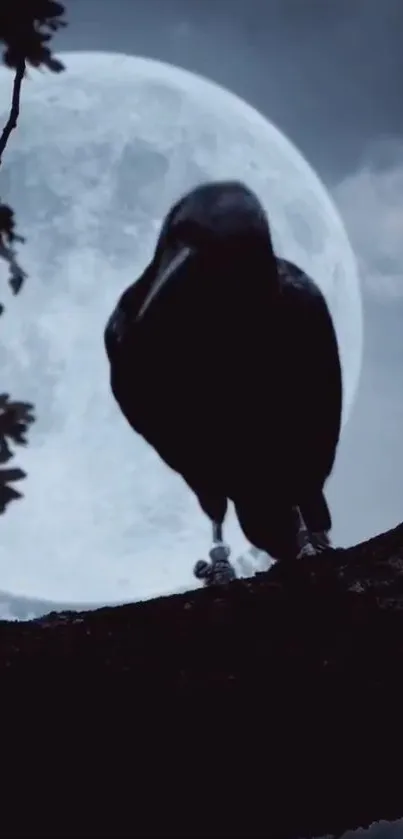 Crow on branch with full moon in background, creating a mystical effect.