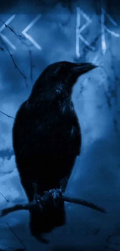 Mystical crow with runes on dark blue wallpaper.